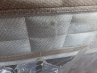 WhatsApp Image 2025-01-30 at 08.44.35