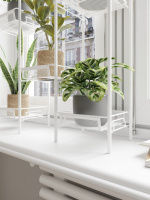 ПДЦ Ладья 36_бел2